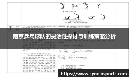 南京乒乓球队的灵活性探讨与训练策略分析
